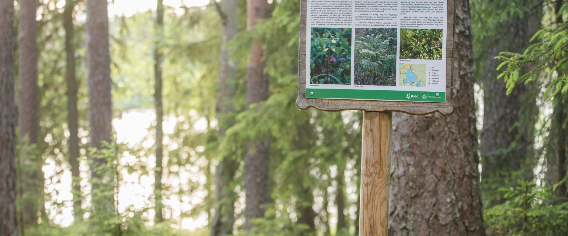 Saare Lake study trail