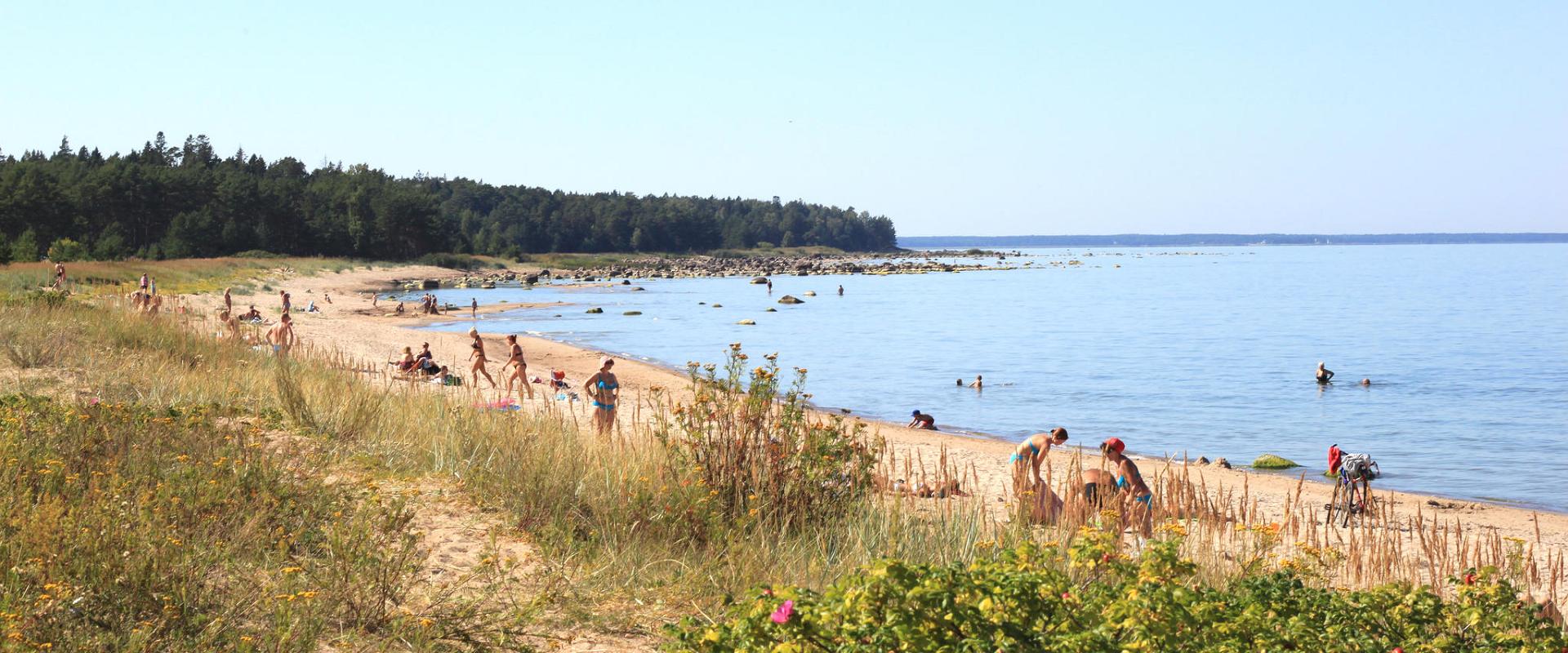Vainupea beach
