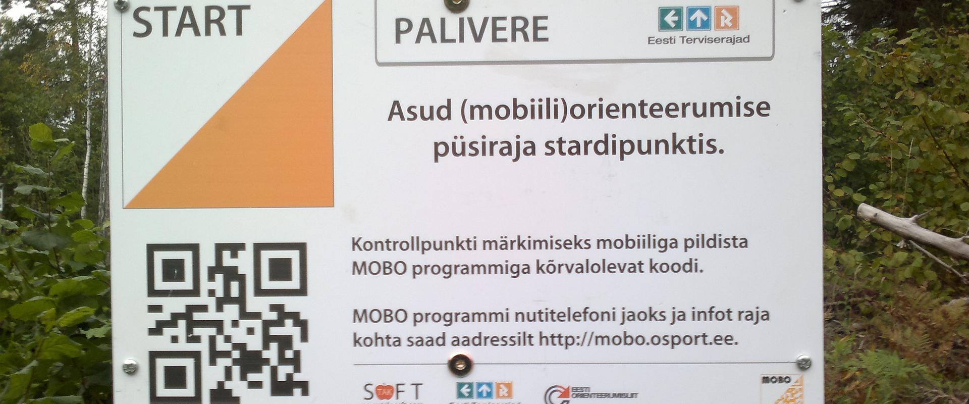 Suunnistusrata ja mobiilisuunnistus Paliveressa