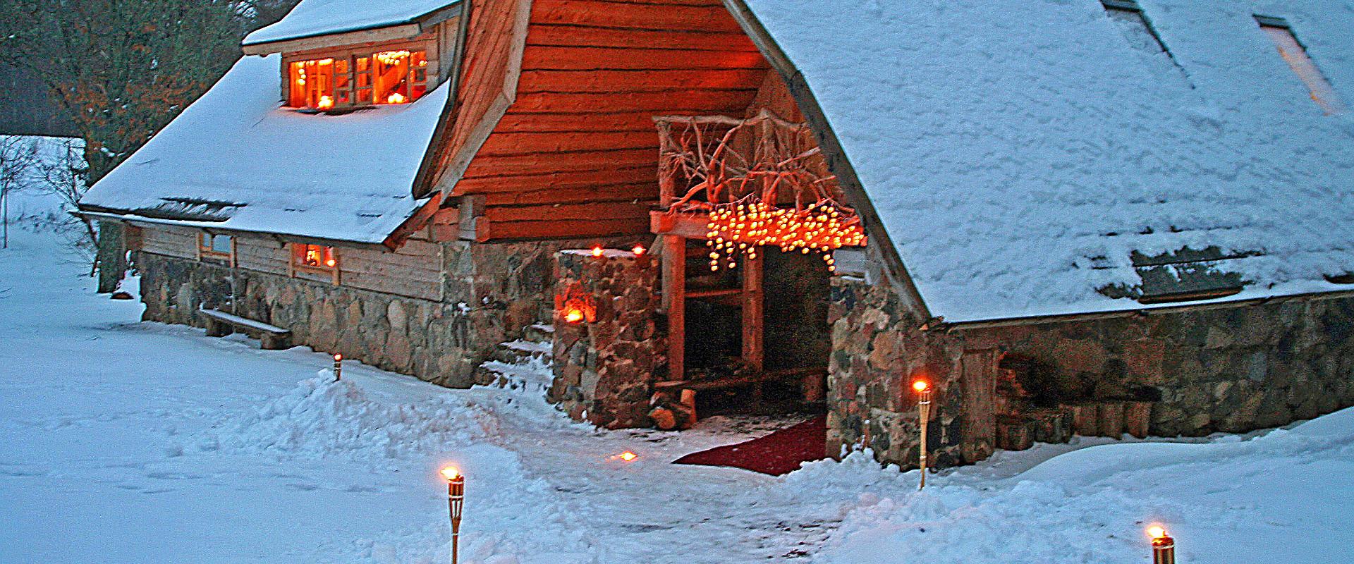 Ferienhaus Valge Elevant (dt. Weißer Elefant) in Metsatu