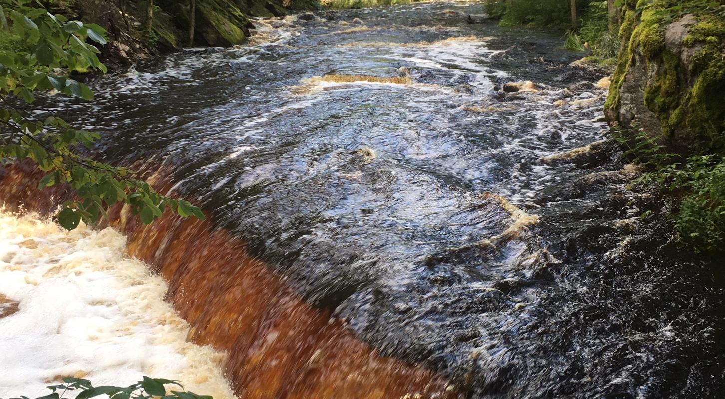 Päevane loodustuur Lahemaa rahvuspargis