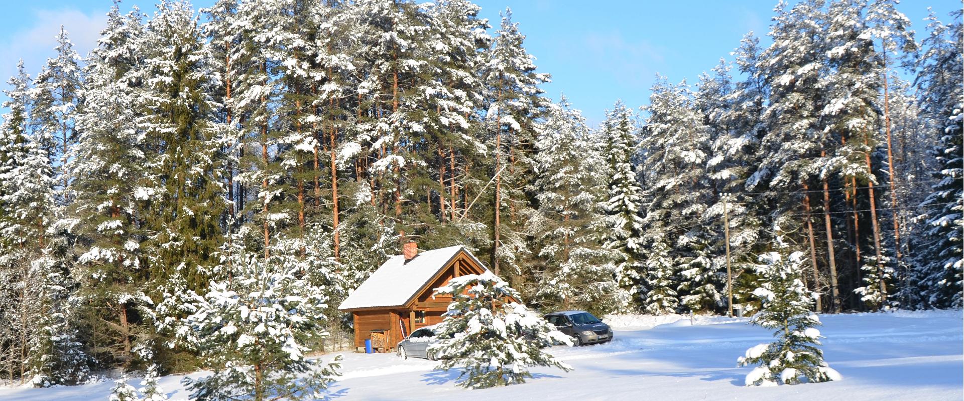 Tõrvaaugu Holiday Homes in Valgehobusemägi