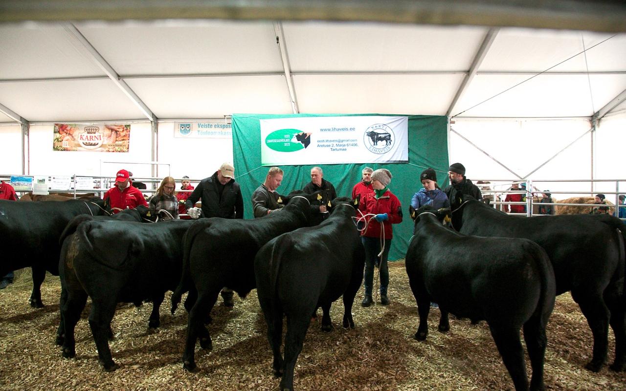 Tiervorstellung auf der Tartuer Maamess