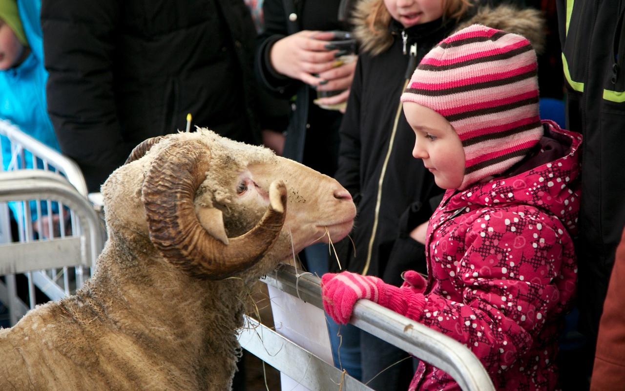 Familien sind auf der Tartuer Maamess herzlich willkommen