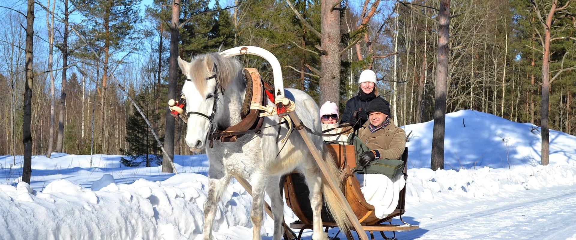 Vooren tallit - elämyksellinen rekiajelu Varbolan linnan satumaisessa metsässä