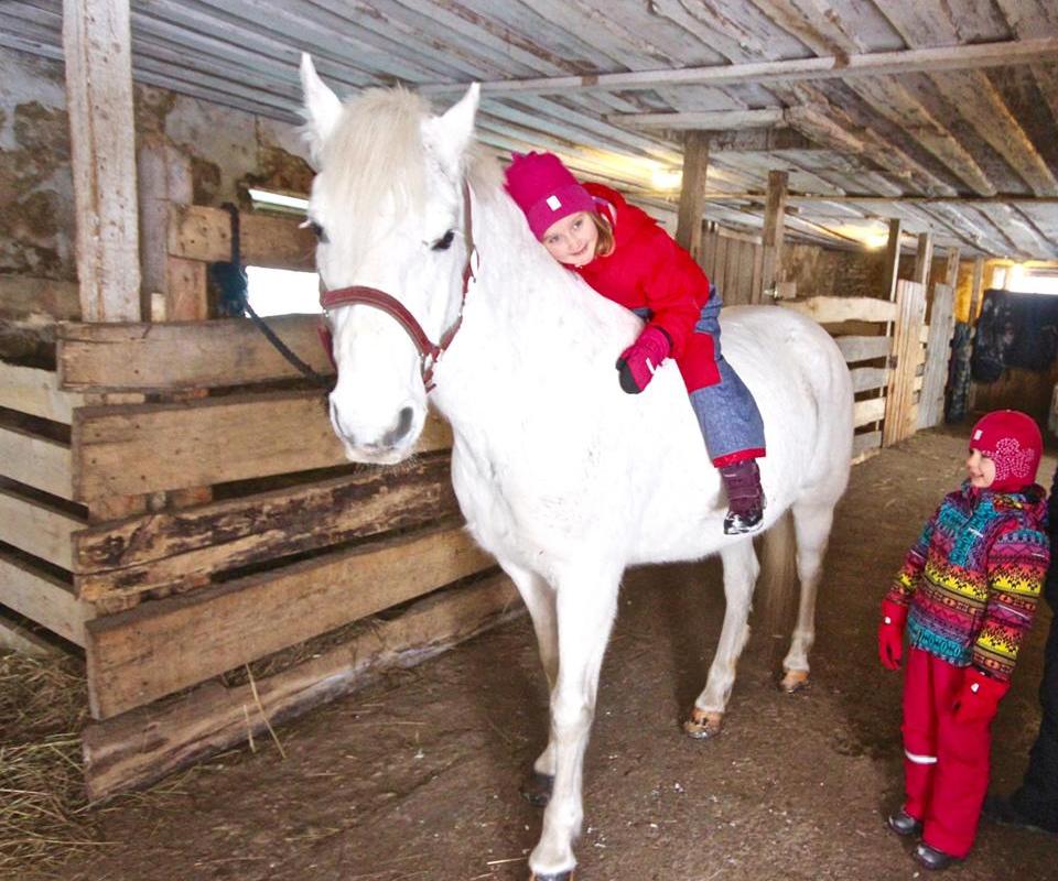 Voore talli saani- ja reesõidud Raplamaal või tellimussõidud