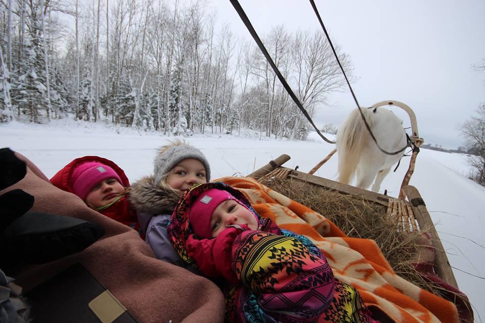Voore talli saani- ja reesõidud Raplamaal või tellimussõidud