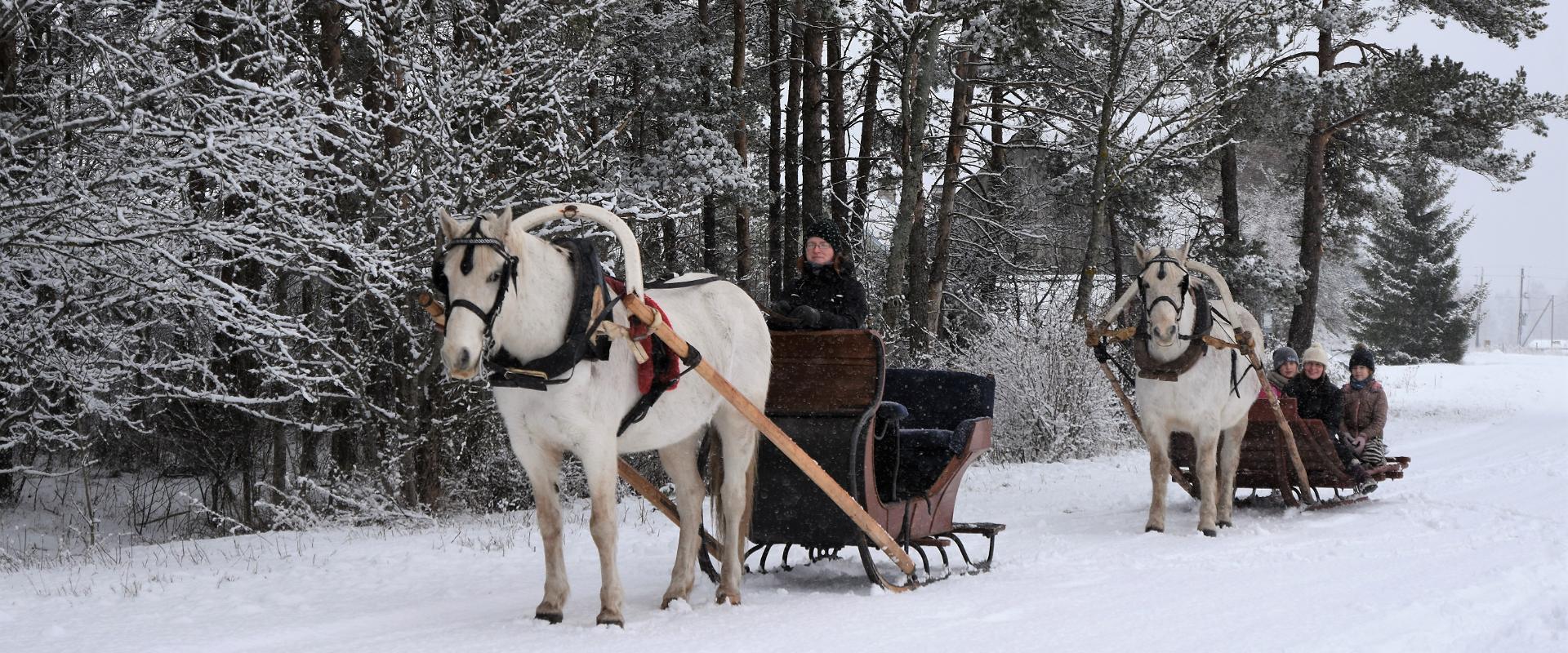 Voore talli saani- ja reesõidud Raplamaal või tellimussõidud
