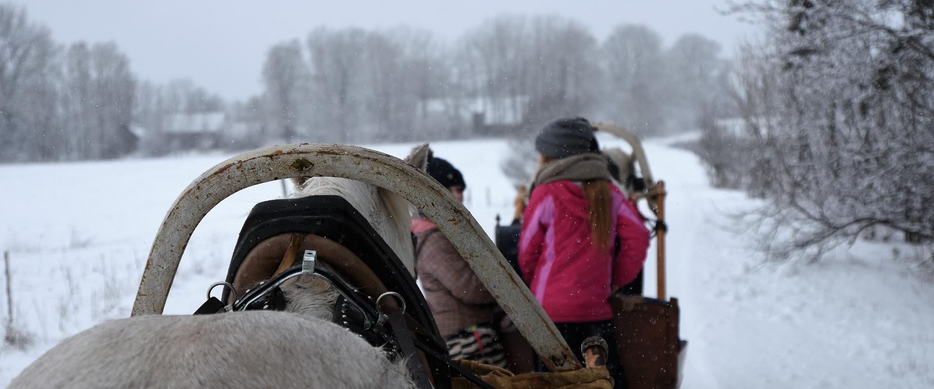Voore talli saani- ja reesõidud Raplamaal või tellimussõidud