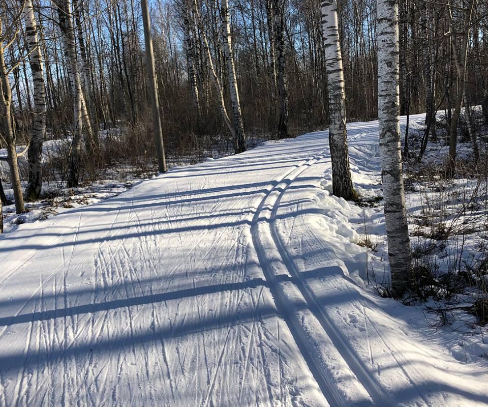 Lähte ski trails