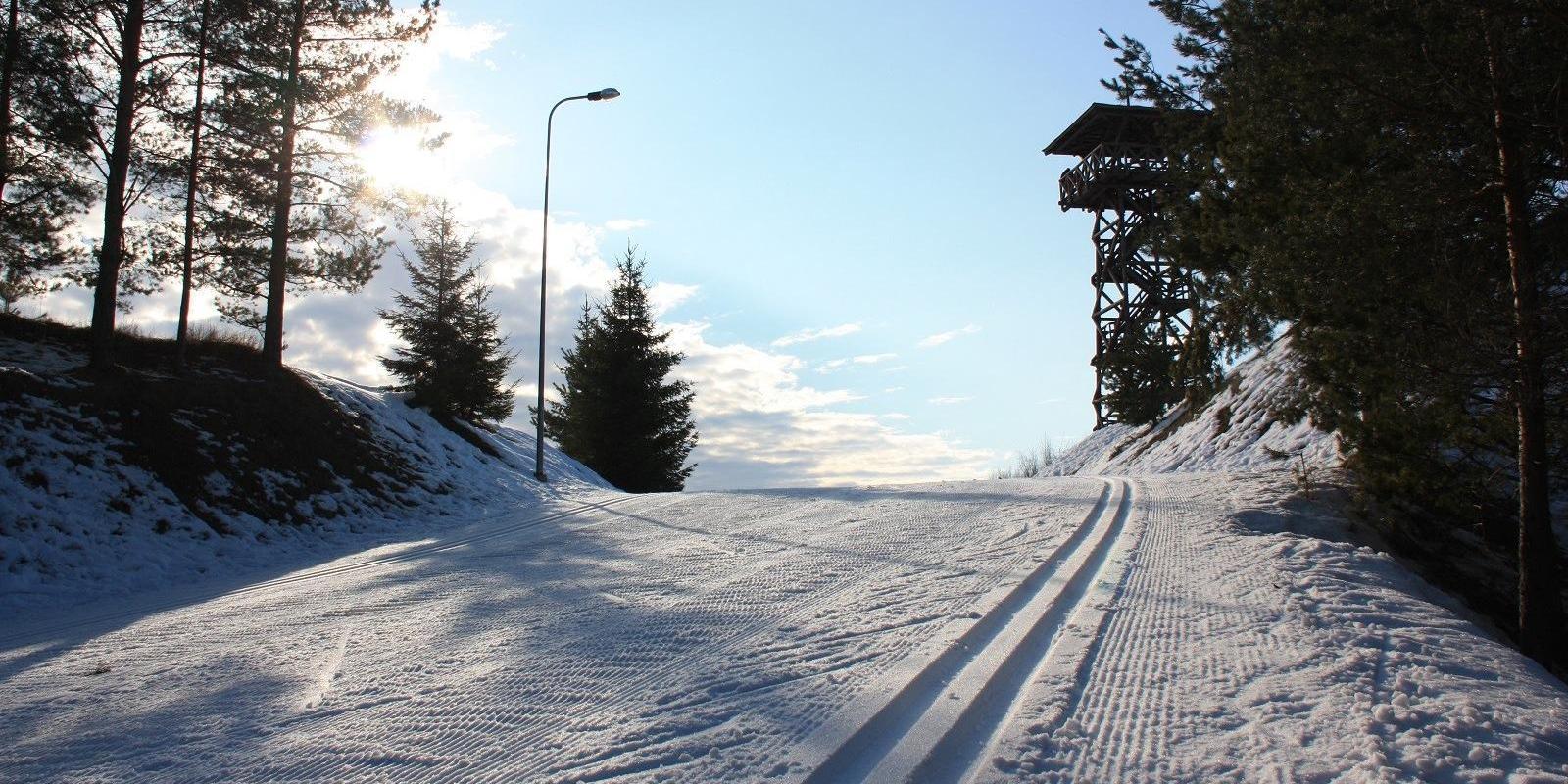 Lähte ski trails