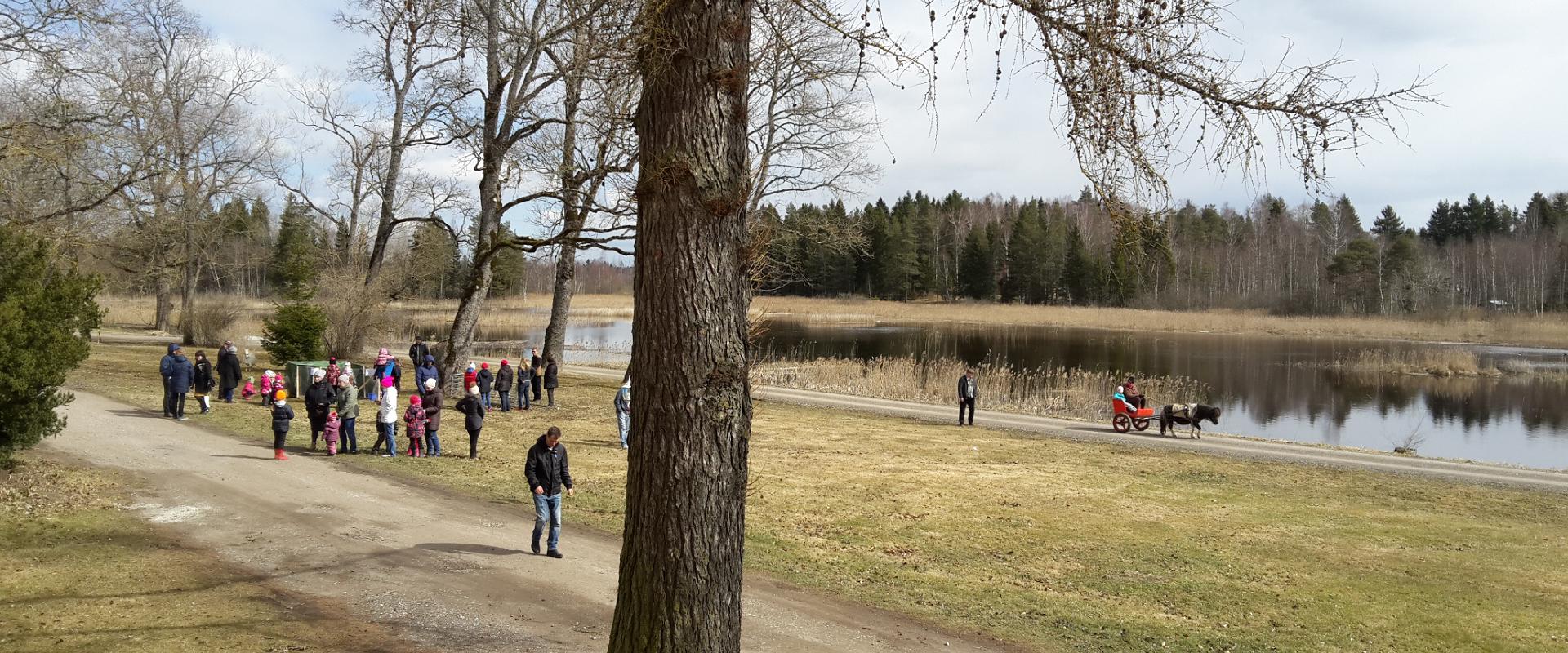 Kernu mõisa park varakevadel