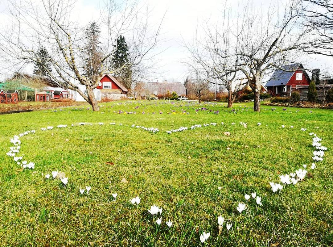 Der Garten auf dem Bauernhof Mikko