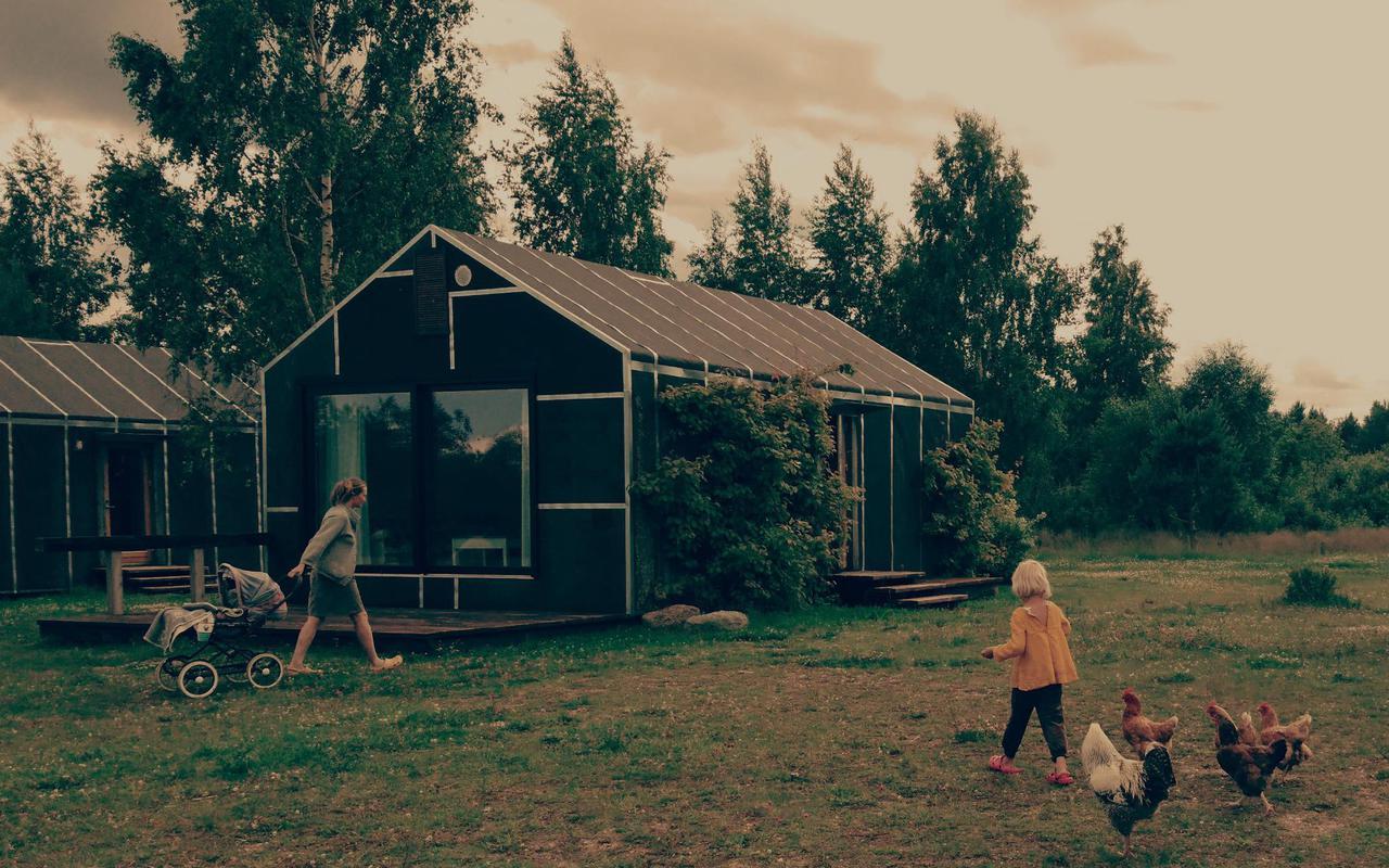 Nina Houses in summer, a child walking on the grass with chickens and a rooster