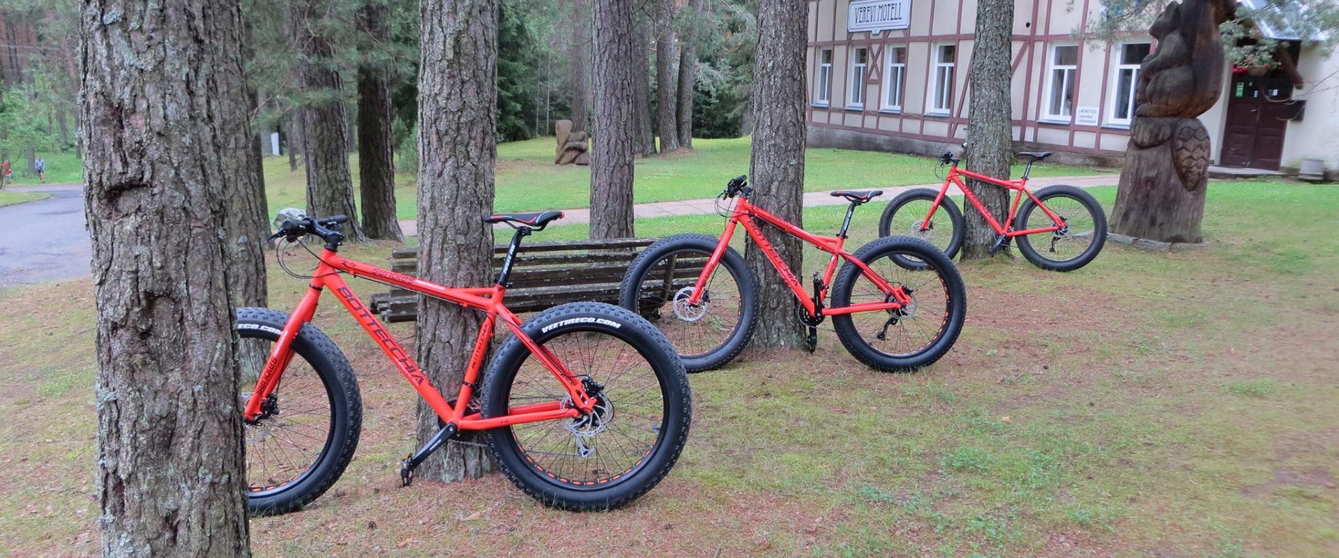 Verevi Motelli Fatbike´i, jalgrataste ja rulluiskude rent