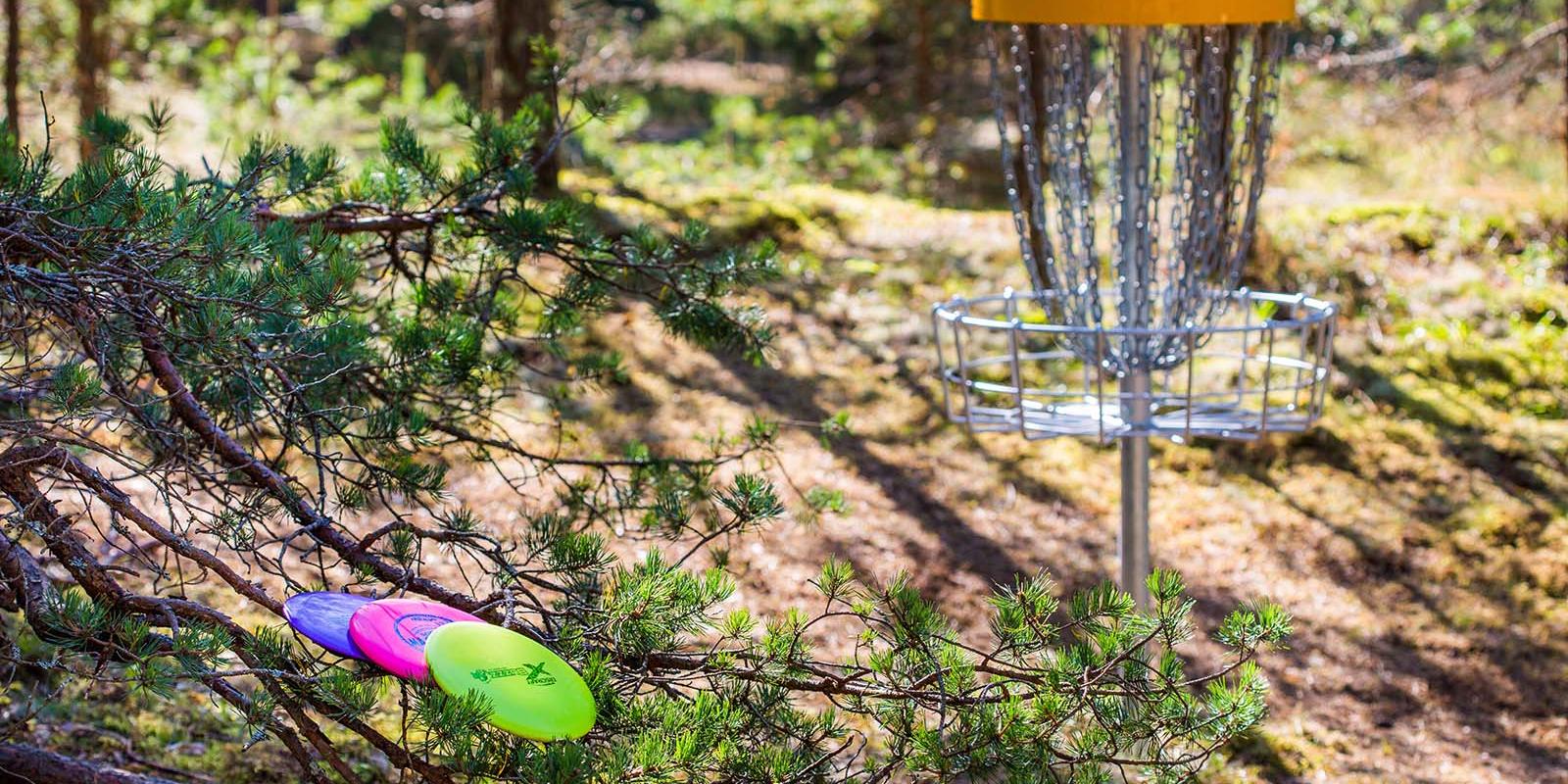 Laulasmaa Disc Golf