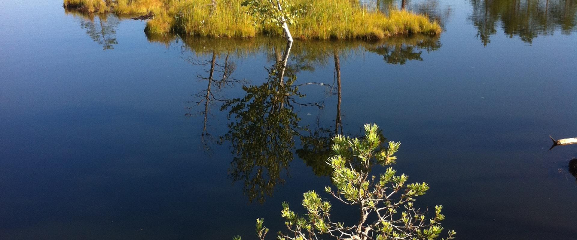 Hike in Tolkuse bog with Nurka Farm