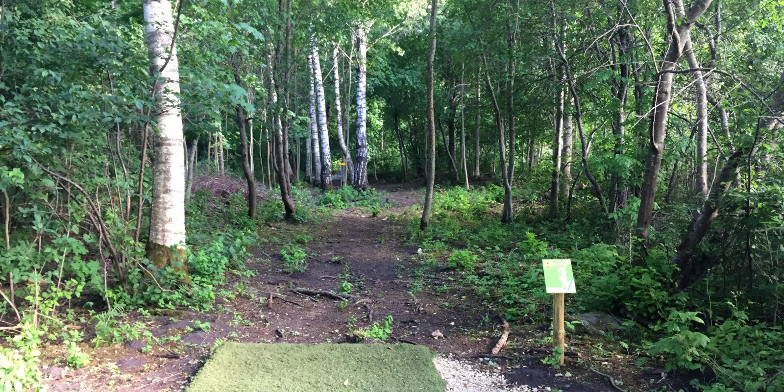 Kuningamäe discgolfi park