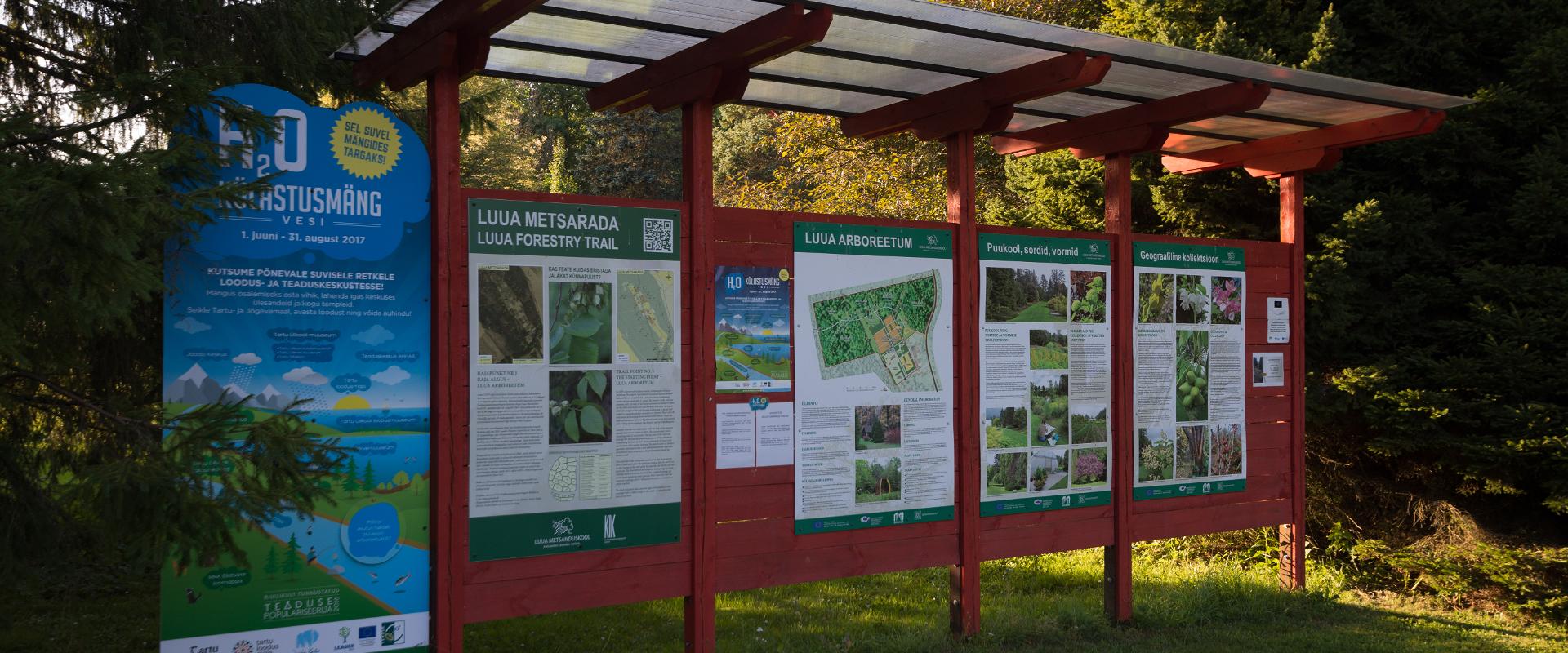 Luua Arboretum