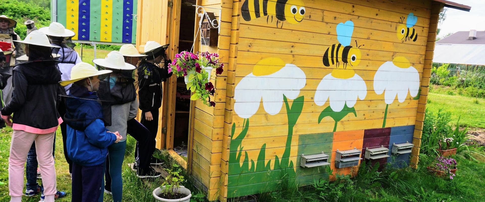 Honey Wolf Mesilasteraapia keskus