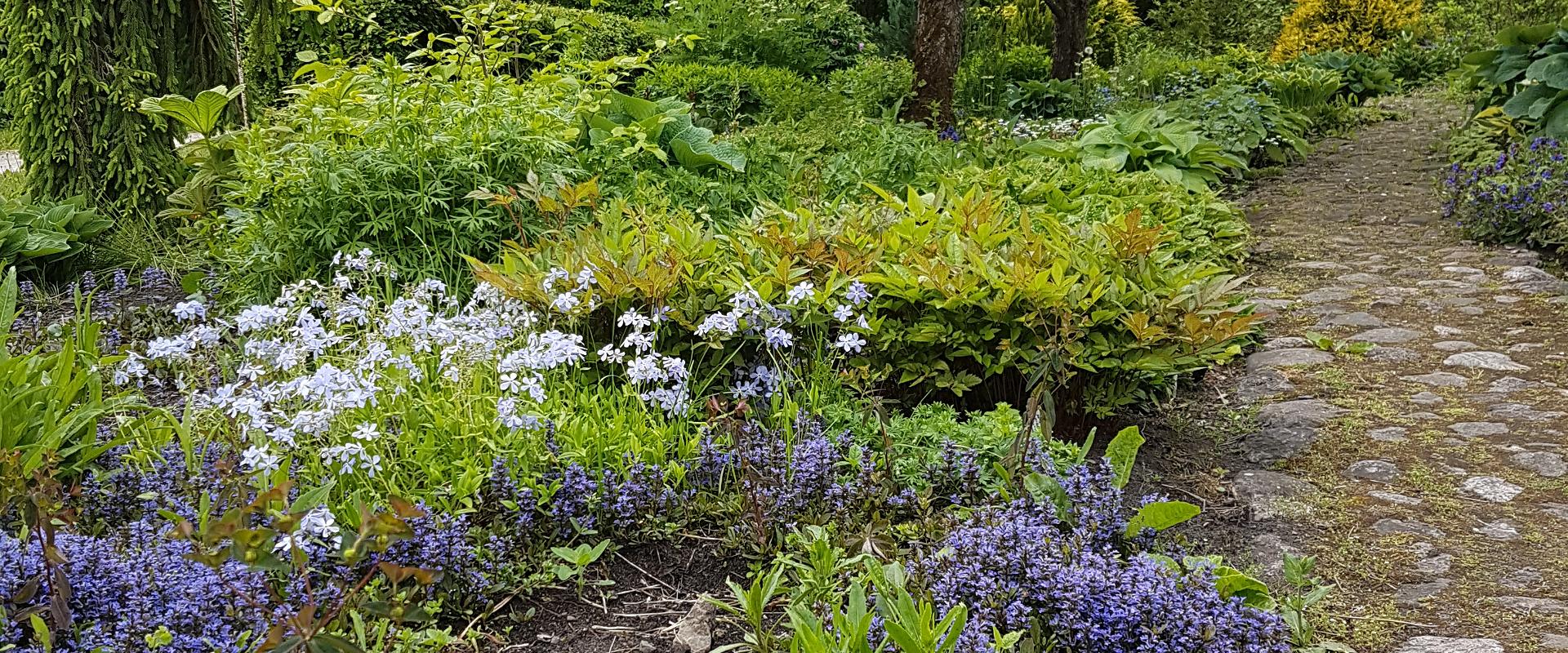 Der Kollektionsgarten von Lepiku-Mardi