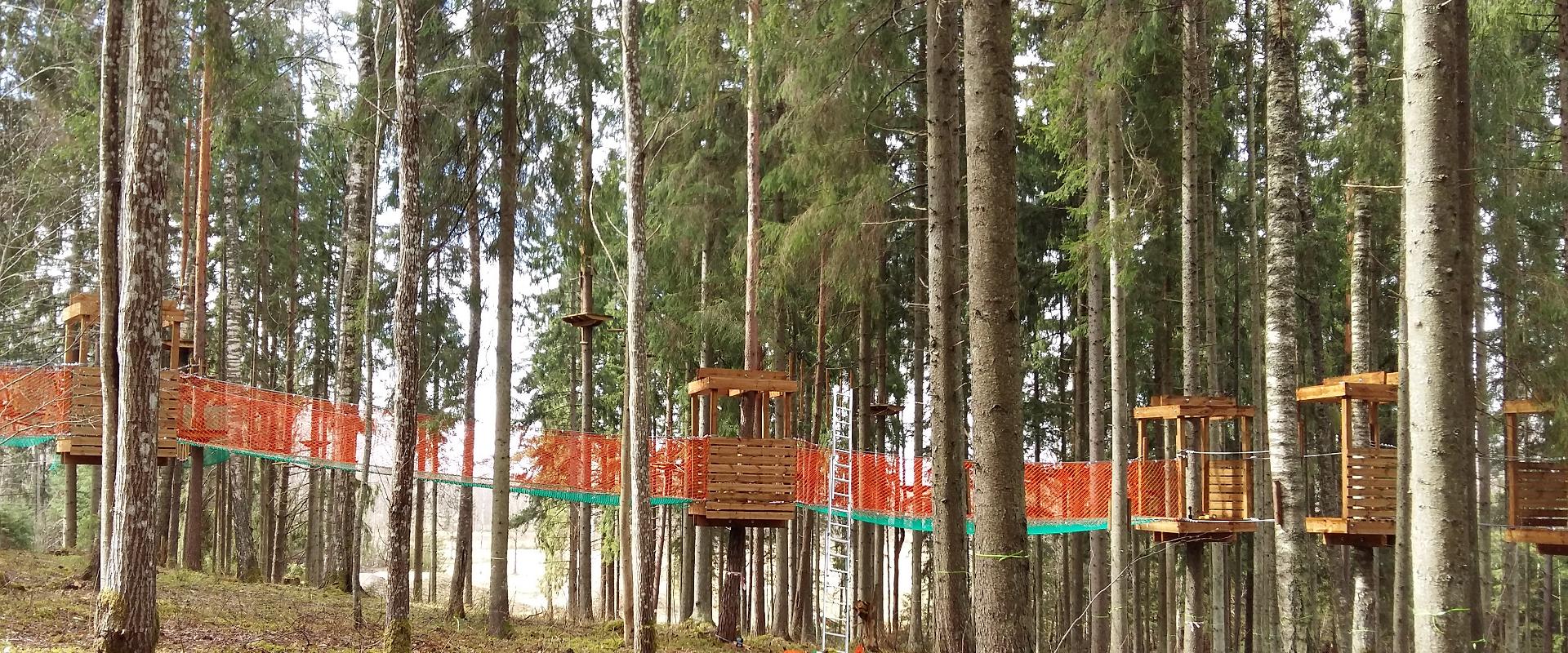 The NetWorld of Türi Adventure Park