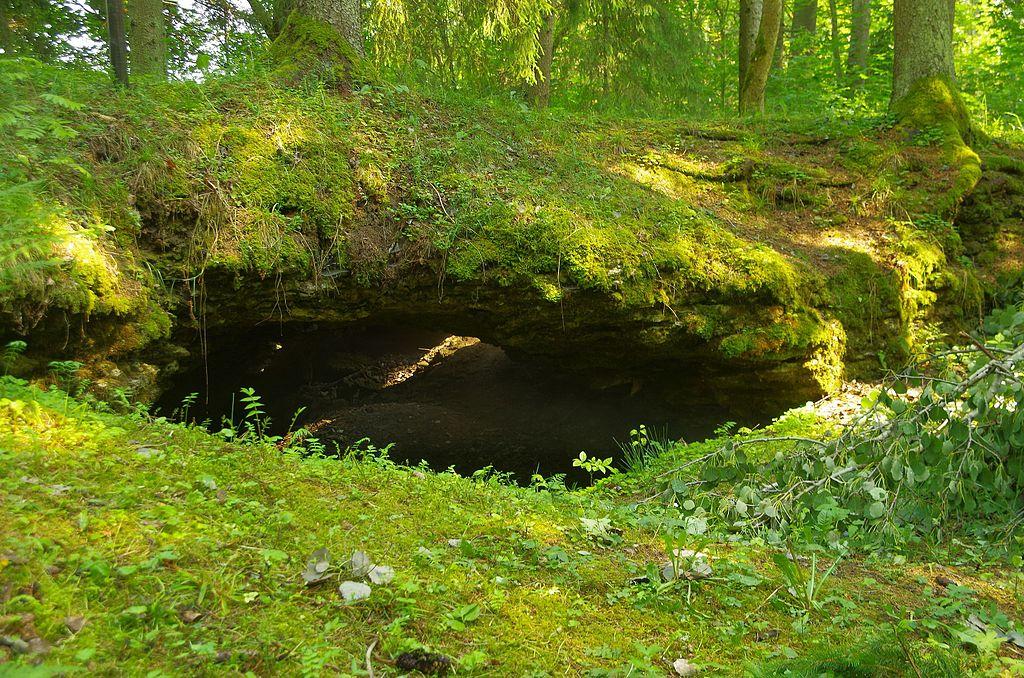 Kuimetsa karstiala koopad ja õpperada