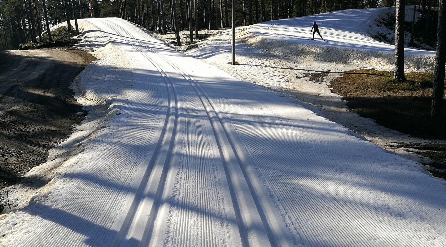 Skiing trails and ski rental at Jõulumäe Sports and Recreation Centre