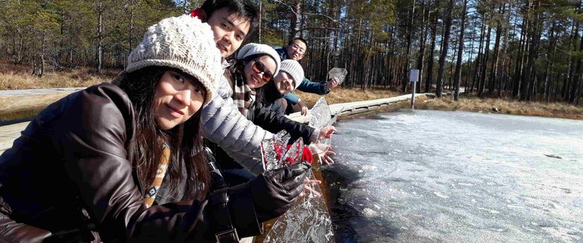 Päevareis Lahemaa Rahvusparki algusega Tallinnast