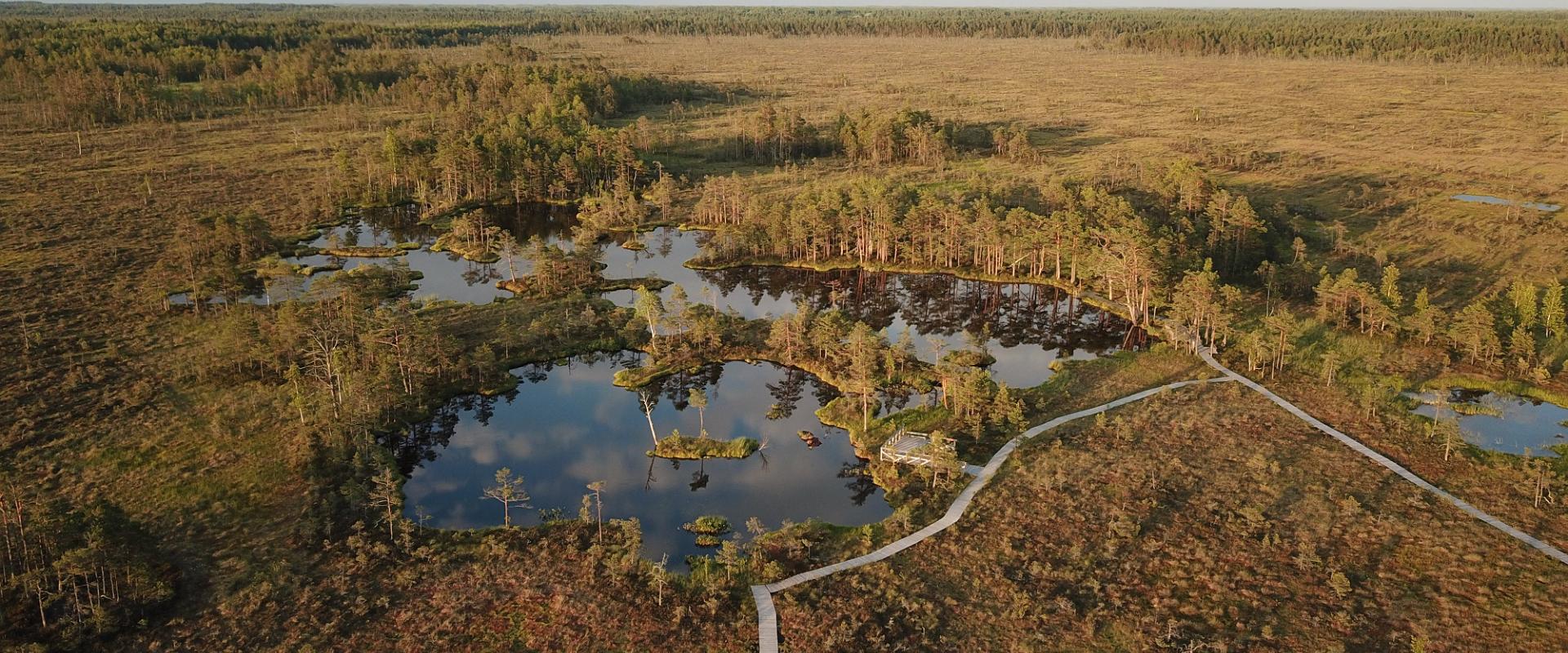 Naturlehrpfad Rannametsa-Tolkuse der Staatlichen Forstverwaltung