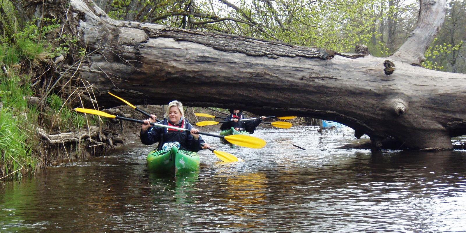 Seikle Vabaks (Freedom of Adventure) – kayak hike in Soomaa National Park