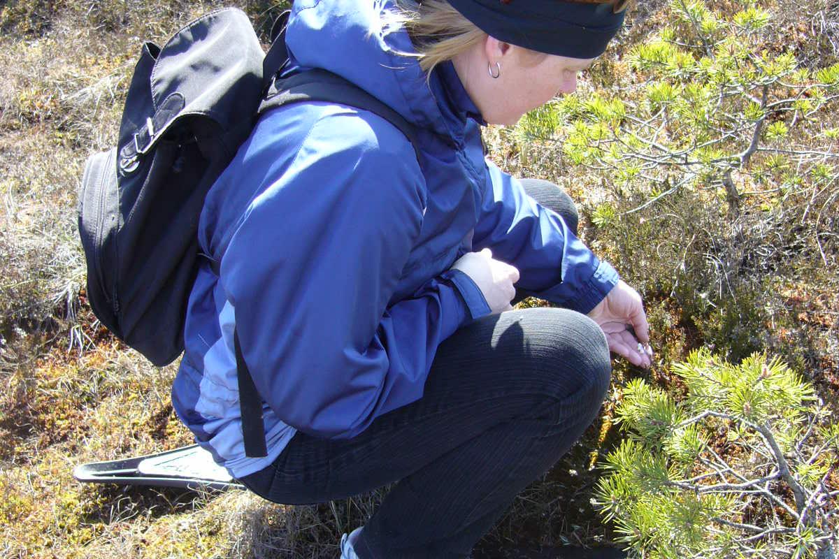 Seikle Vabaks räätsamatk Soomaa Rahvuspargis