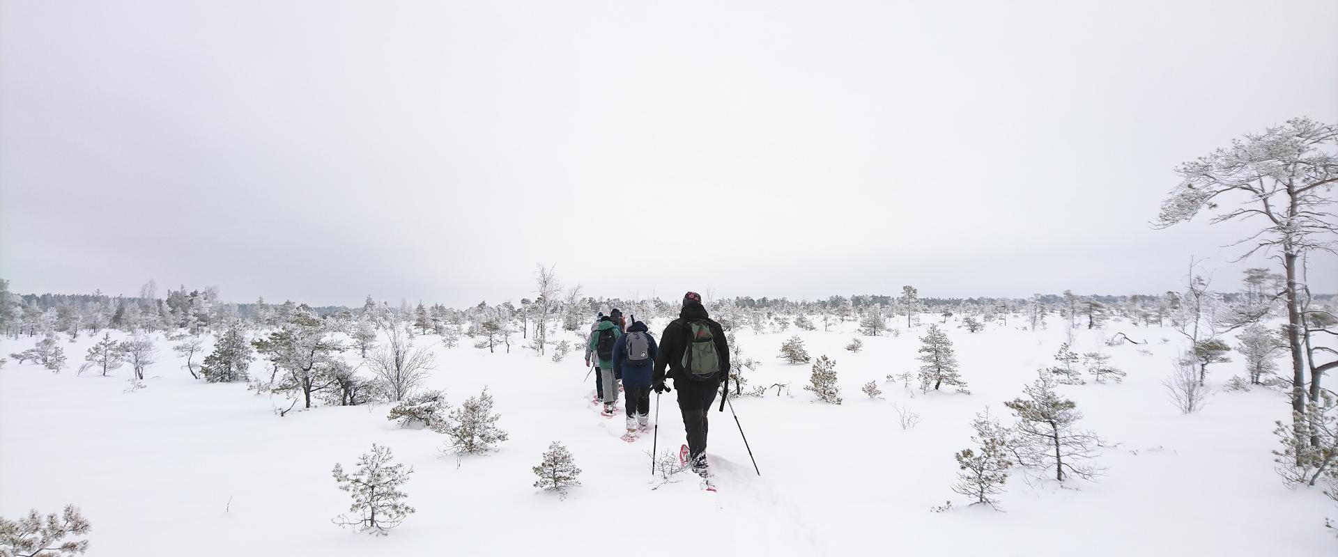 Seikle Vabaks (Freedom of Adventure) – snowshoe hike in Soomaa National Park