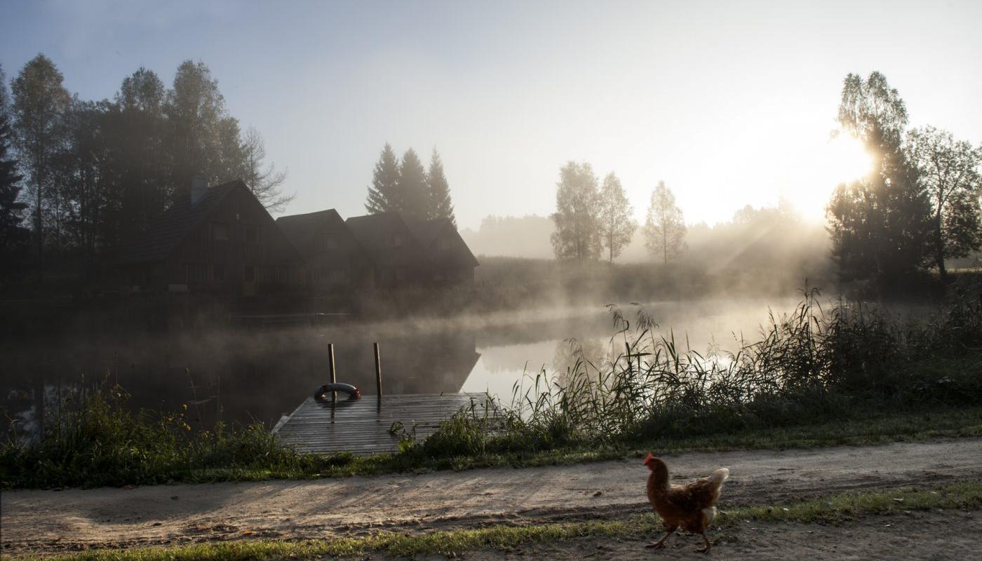 Kivitalu tūrisma lauku sētas brīvdienu mājas