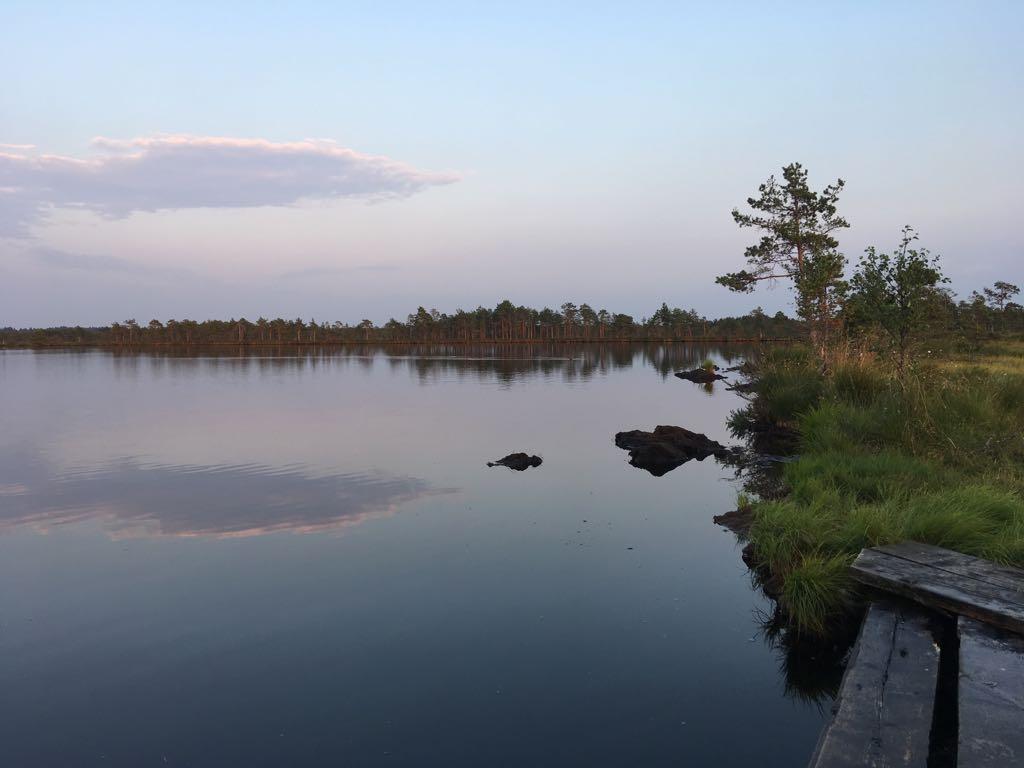 Söesauna Talu majutus