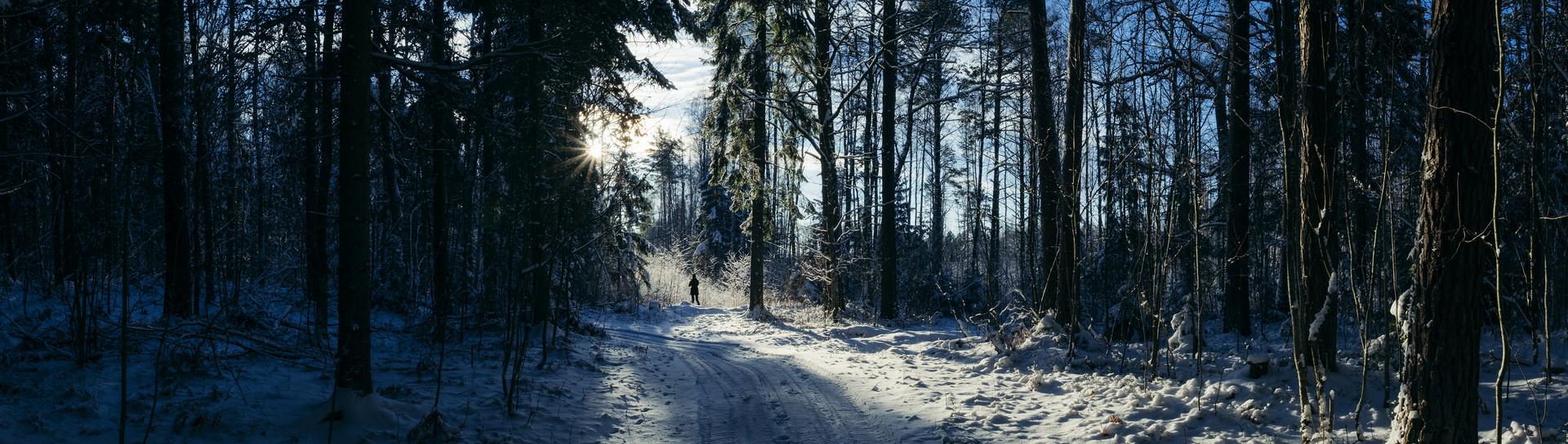 Voore tallide elamusterohke saanisõit Varbola linnuse muinas