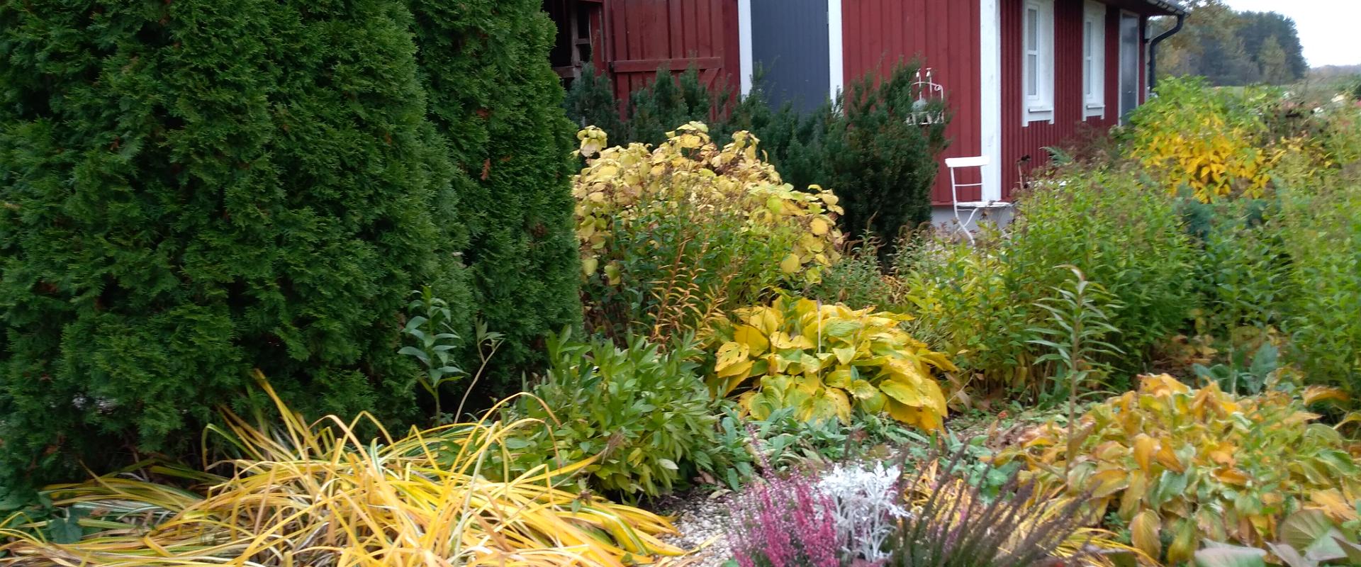 Der Garten auf dem Bauernhof Mikko