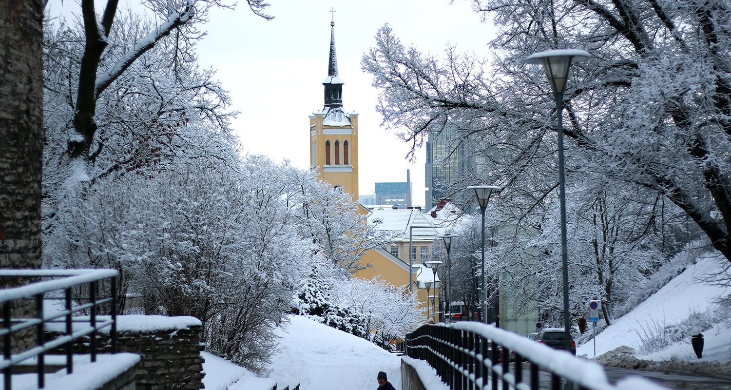 Giidiga jalutuskäik läbi Tallinna vanalinna