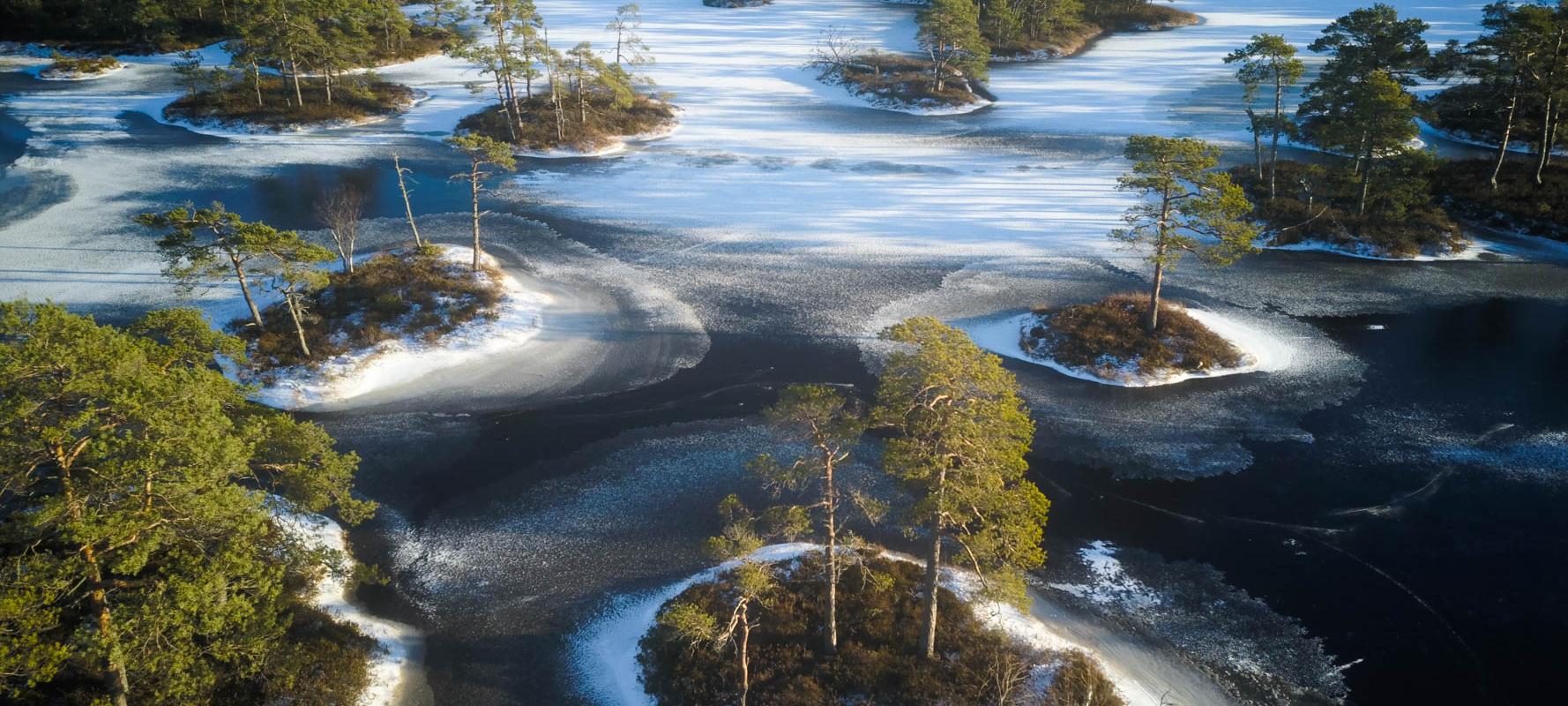 Bog hike and skating on bog-pools by Seikle Vabaks