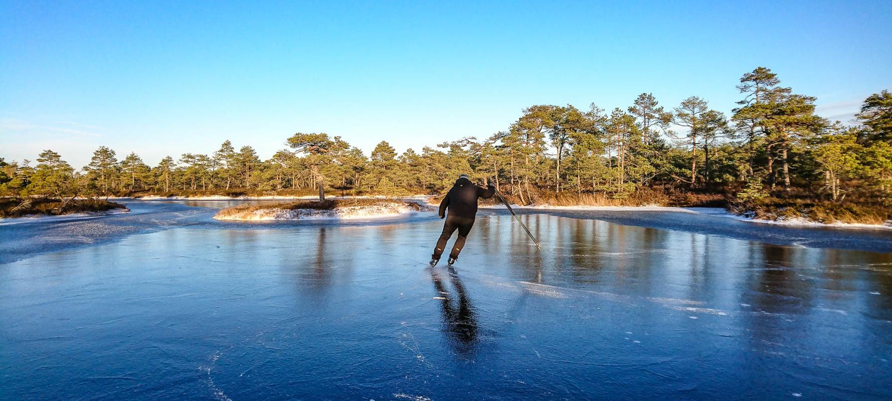 Bogshoeing and skating trip on Estonian frozen boglakes