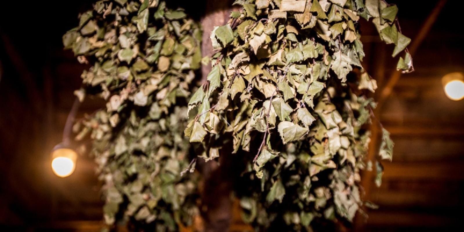 Onion Route SaunafEST