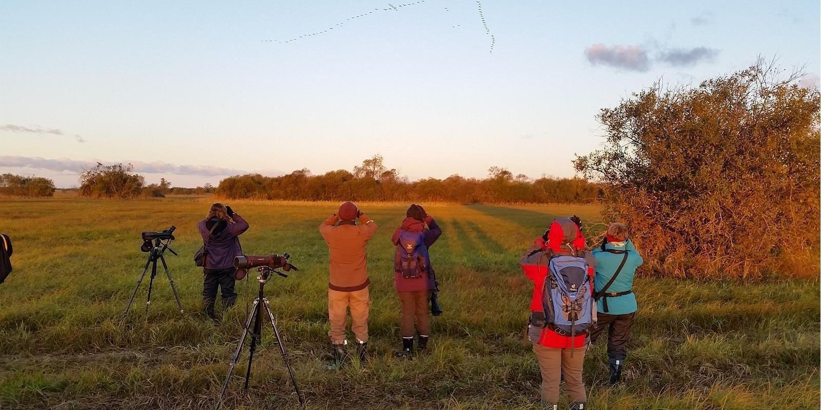 Loodusreis 'Metsik Eesti'