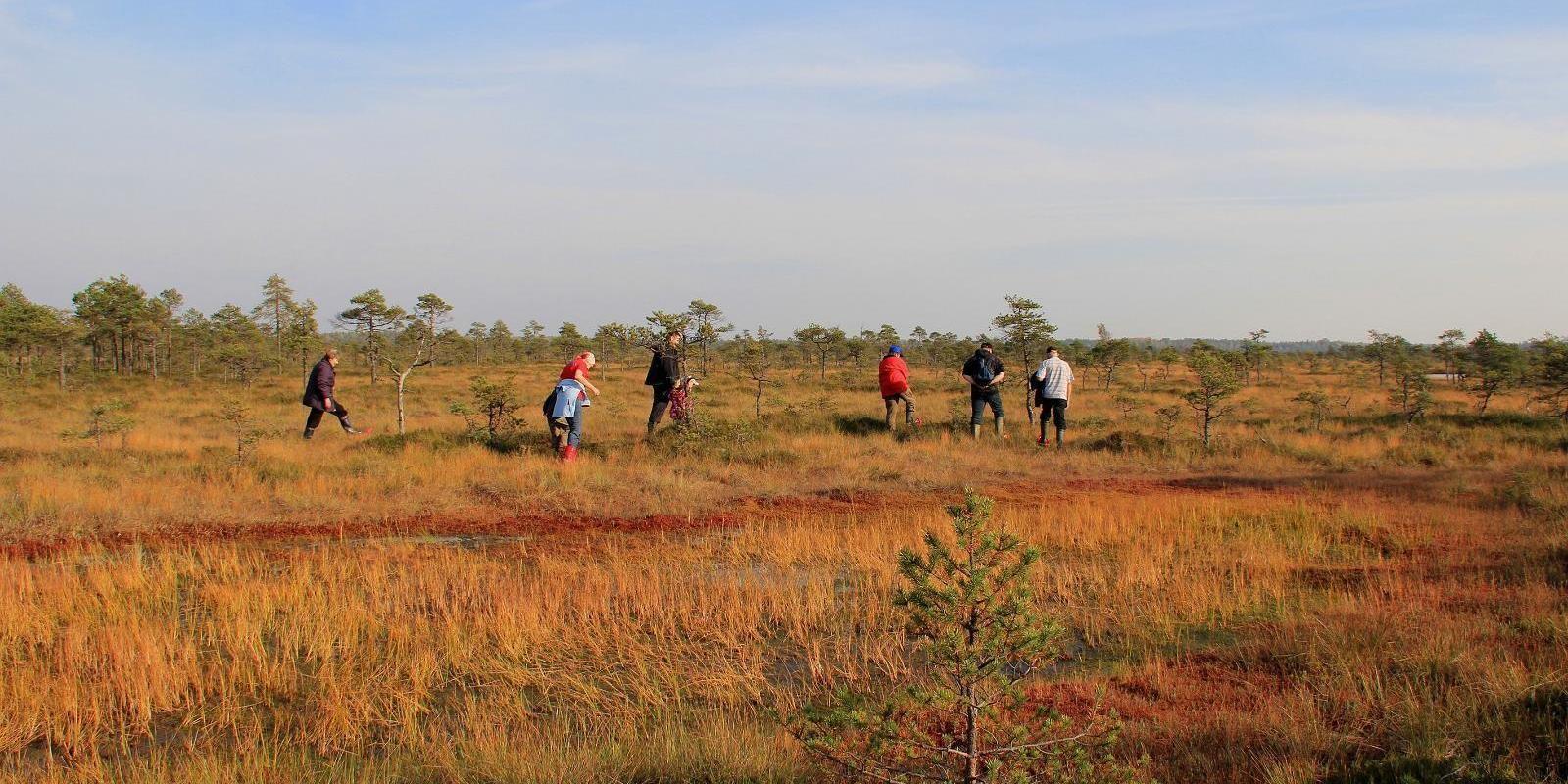 Loodusreis 'Metsik Eesti'