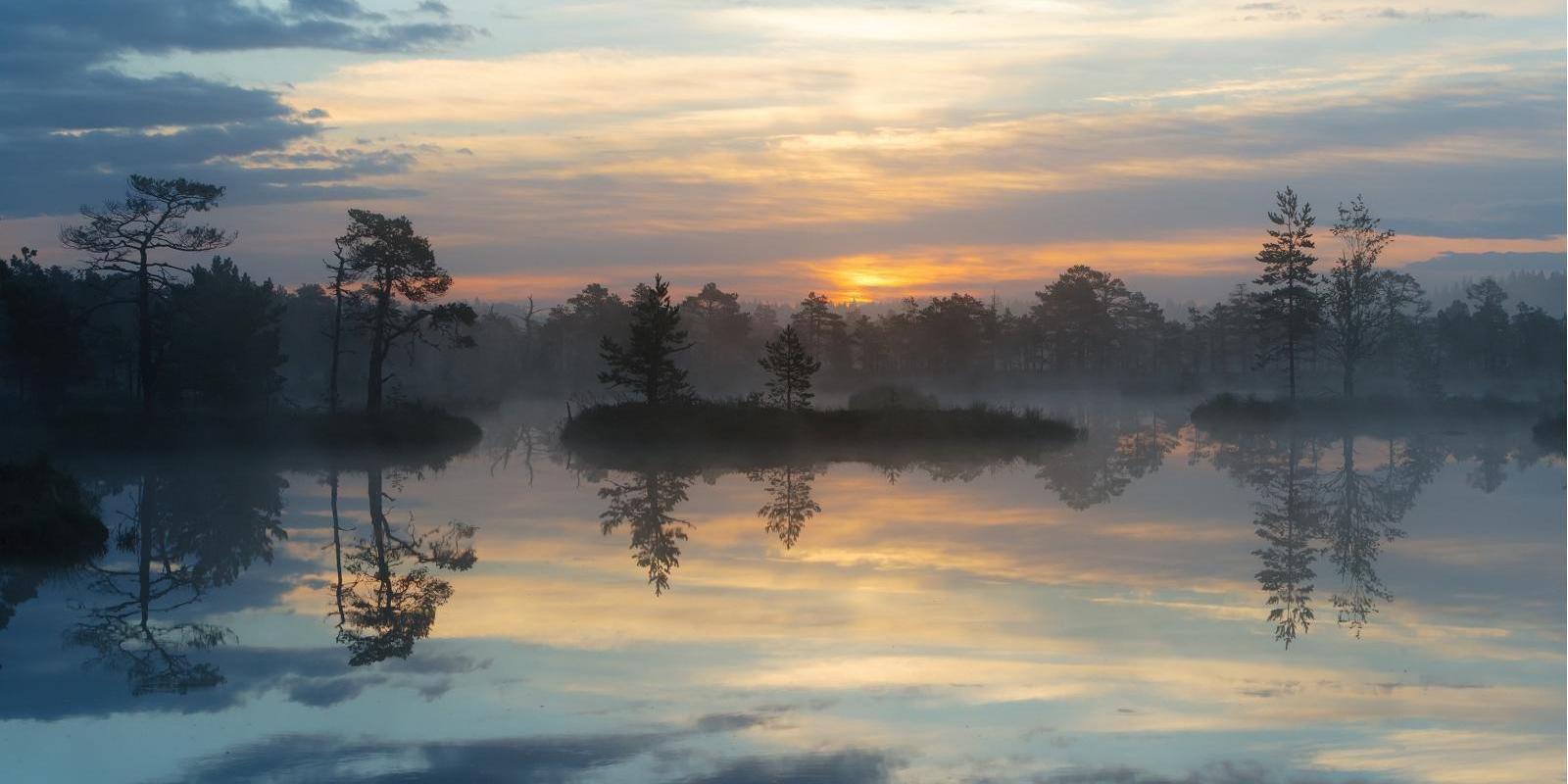 Loodusreis 'Metsik Eesti'