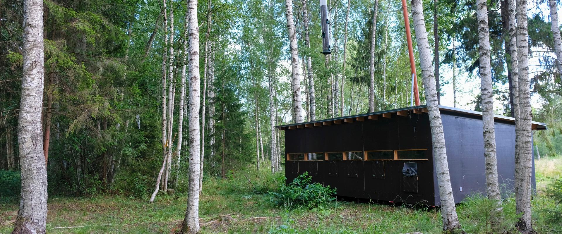 New Alutaguse Brown Bear and Wildlife Observation Hide