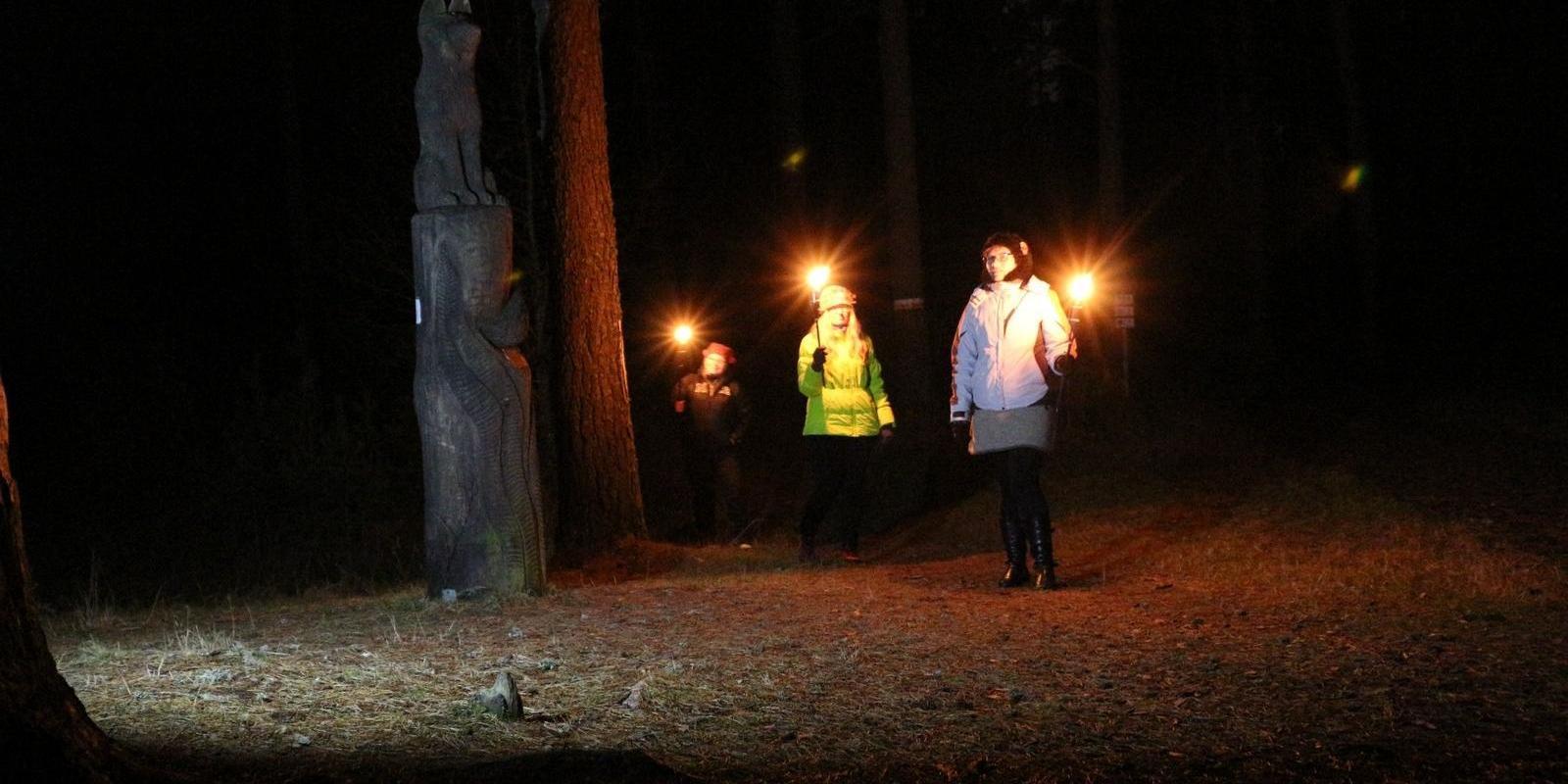 Fackelausflug auf dem Kleinen Kraftweg (Väike Väerada)