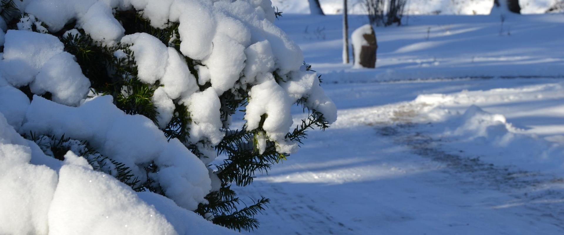 Kuressaare Town Park