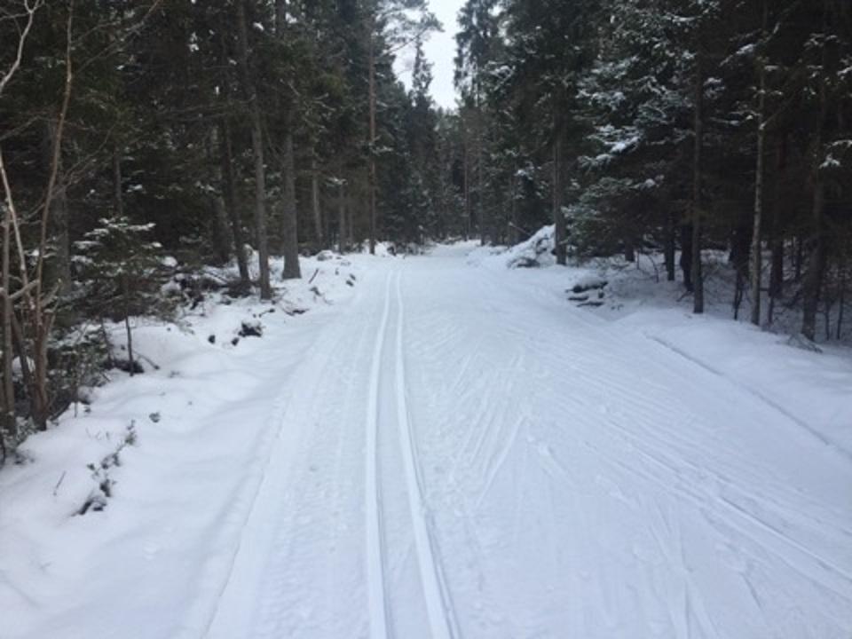 Paluküla Health Trail in Hiiumaa