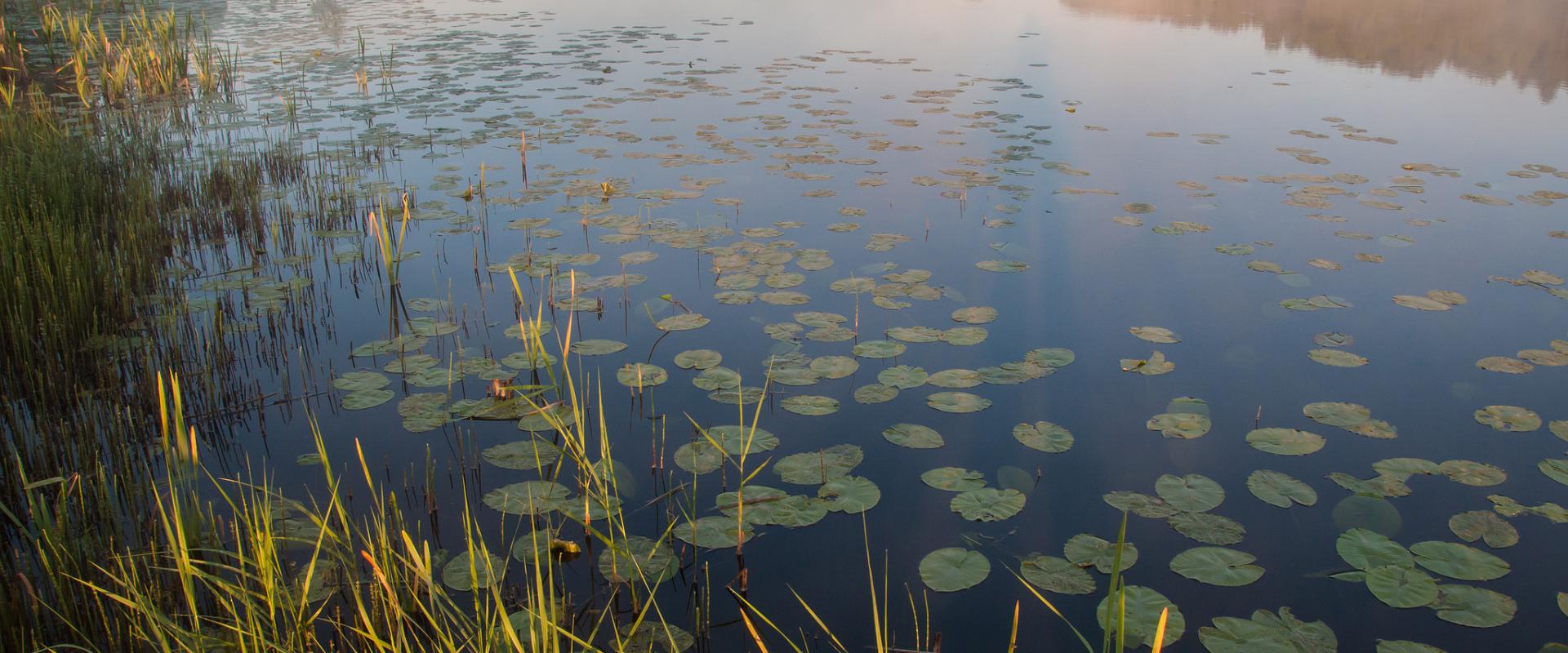 Mooste järv