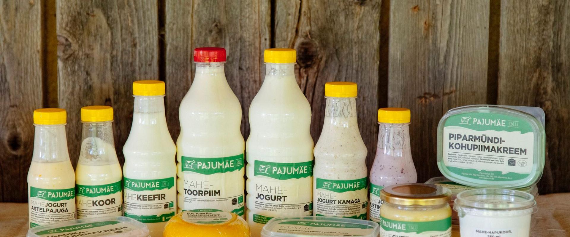 Tasting of dairy products at Pajumäe Farm